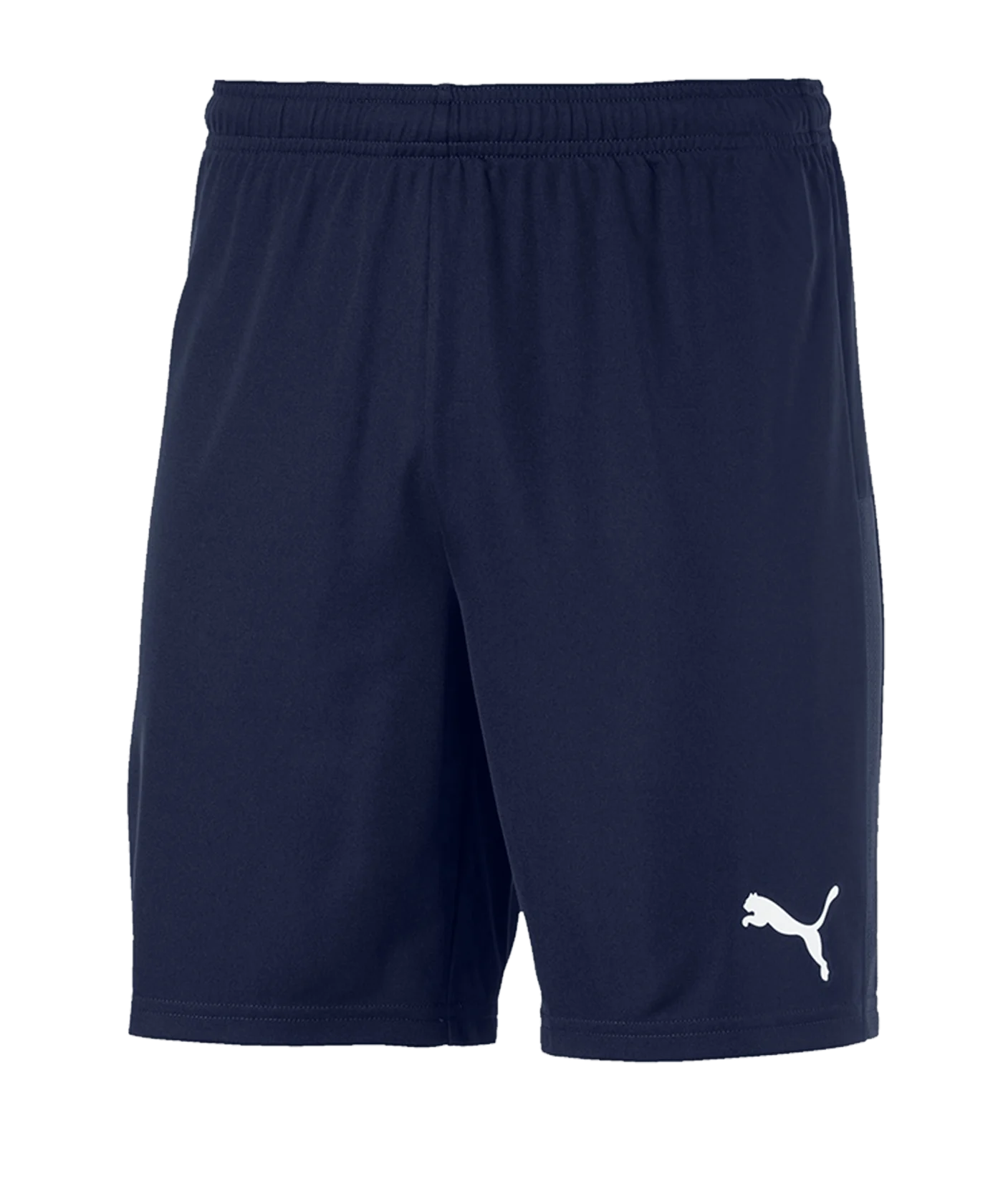 PUMA teamGOAL 23 Knit Short Blau F06