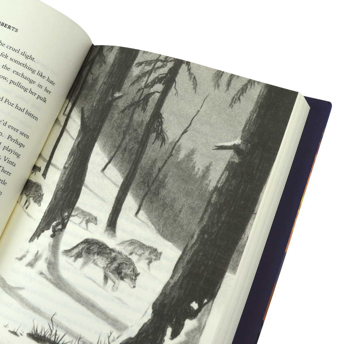 Wolf Road (Hardback)
