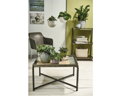 Soendgen Bergamo keramische plantenbak, Ø 16 cm, H 15 cm, lavendel glazuur
