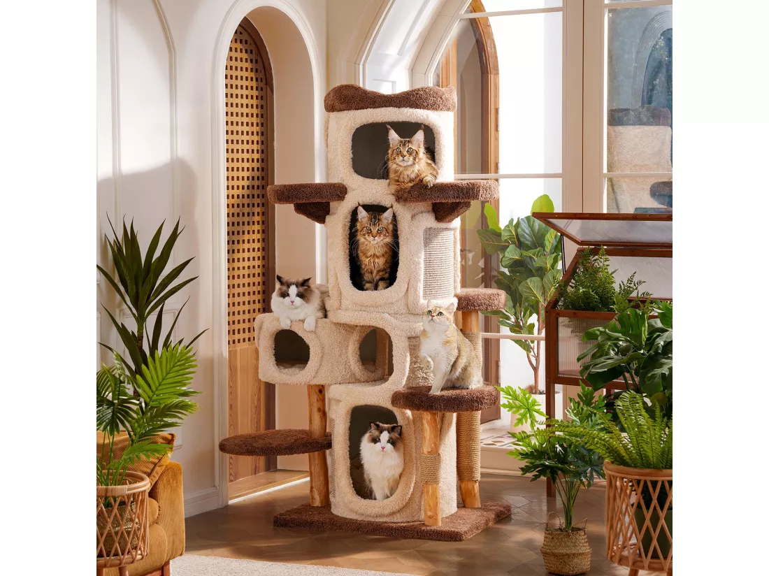 Arbre à chat en bois massif, d80cm×h176cm, beige