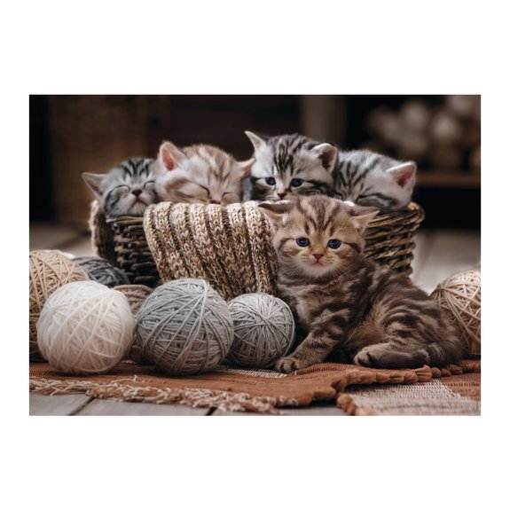 Puzzle 1500 pièces Boules de poils et pelotes de laine