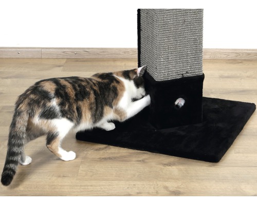 Krabpaal met 4 hoeken incl. speelgoedmuizen 48x48x80 cm Zwart