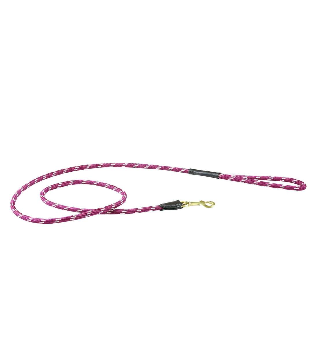 Weatherbeeta - Laisse - Chien (Rouge/ marron) (1.2m) - UTWB1344