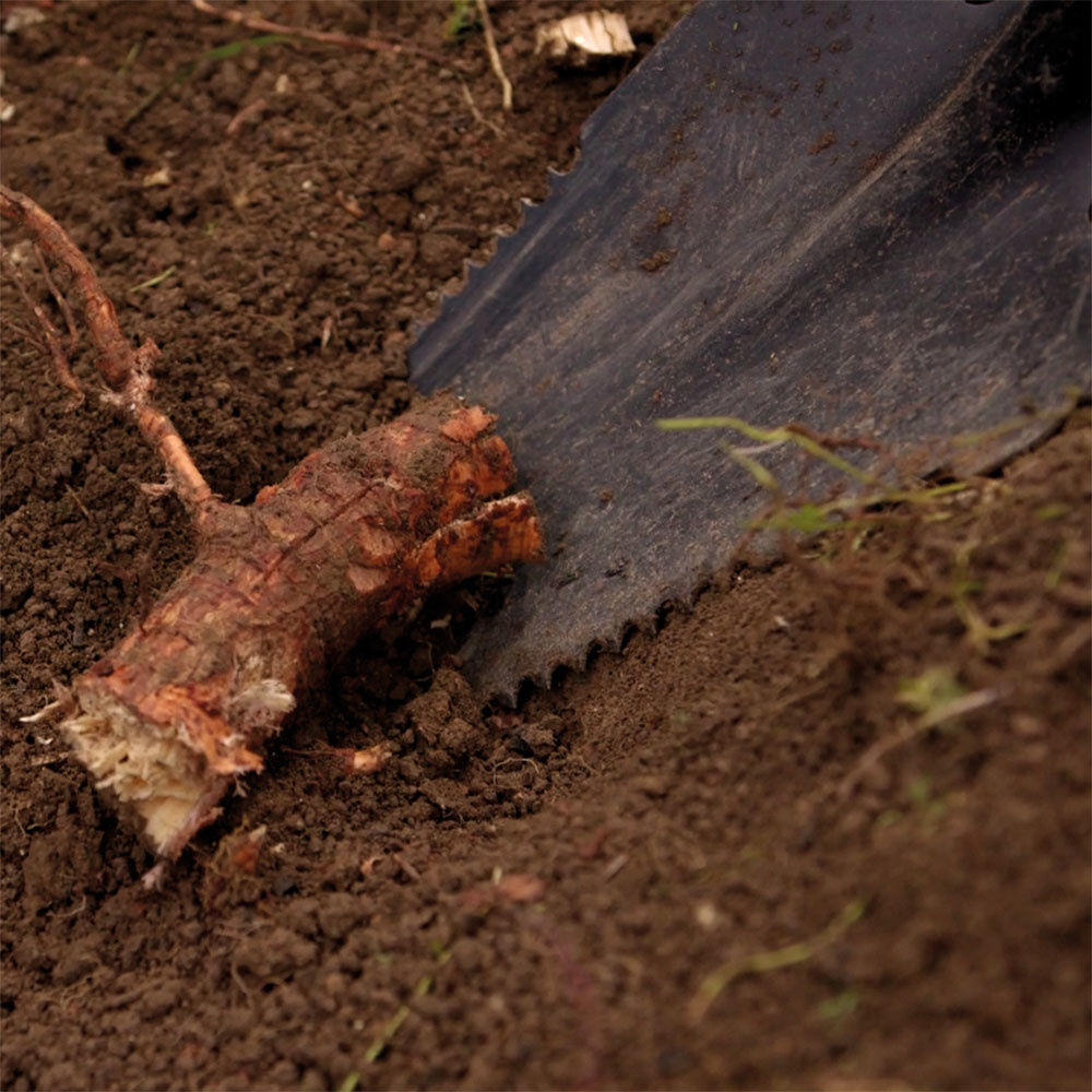 Hammersmith Rayzer Shovel, All-in-One Spaten für den Garten