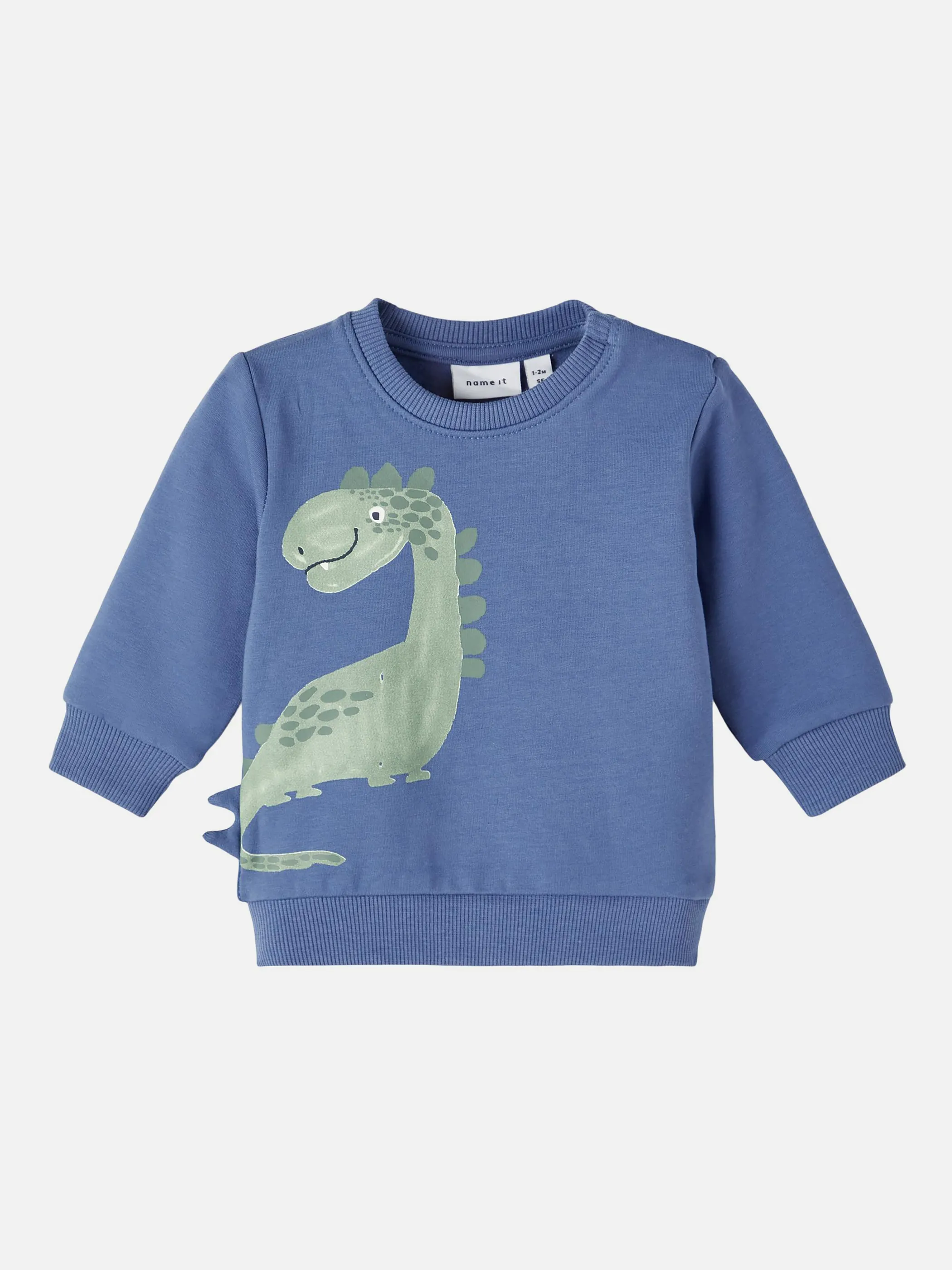 Jungen Sweatshirt mit Dinoprint