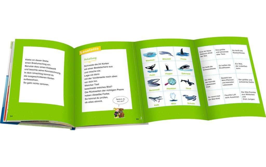 Kinder-Sachbuch WWW Erstleser: Wale und Delfine Band 3Spielerisch lesen lernen