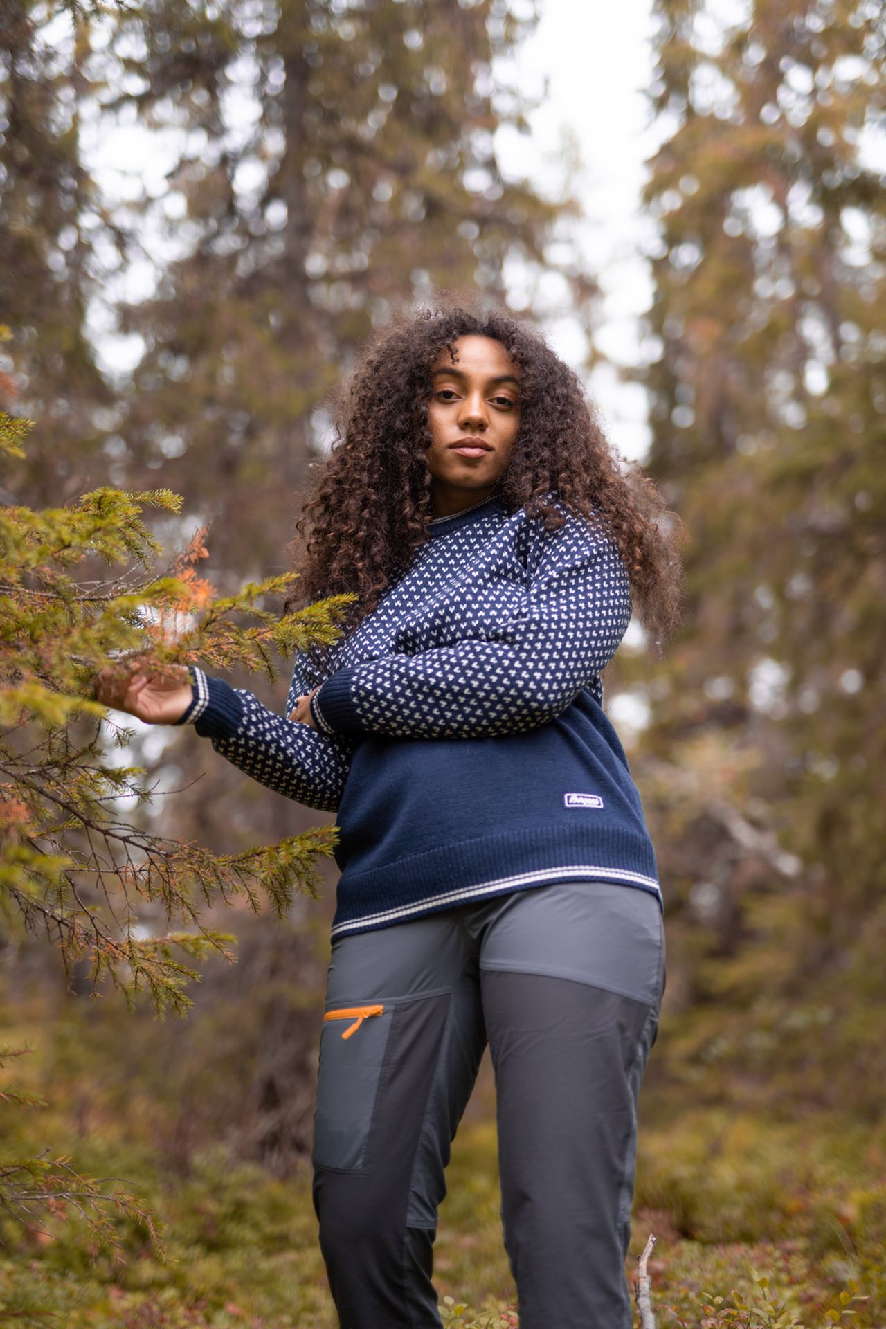 Alvdal Wool Jumper