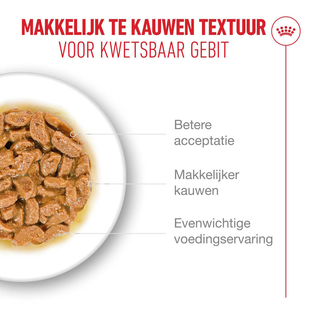Royal Canin Ageing 11  - Kattenvoer - 12 Stuks