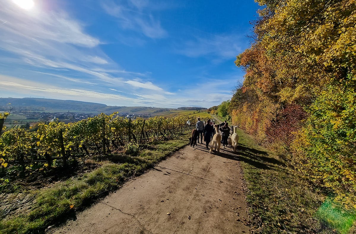 Kurzurlaub für bis zu 5 Personen Dipbach