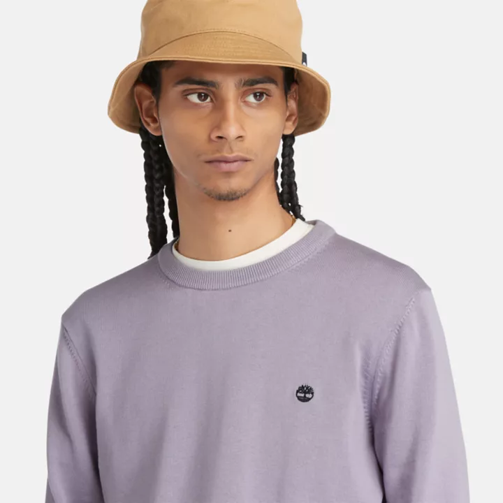 Pull à col rond Williams River pour homme en violet