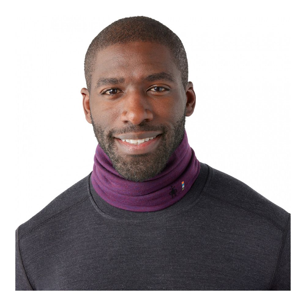 Smartwool THERMAL MERINO REVERSIBLE - Tour de cou Homme purple iris heather