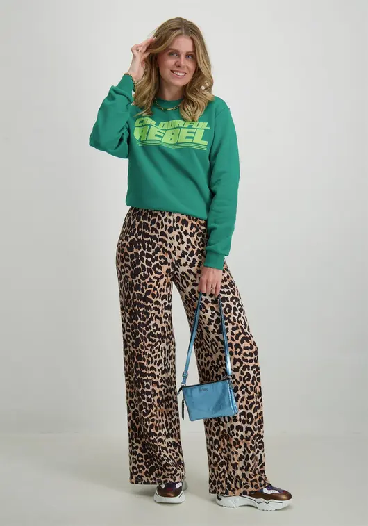 Colourful Rebel Sweater Bold puff logo WS416100