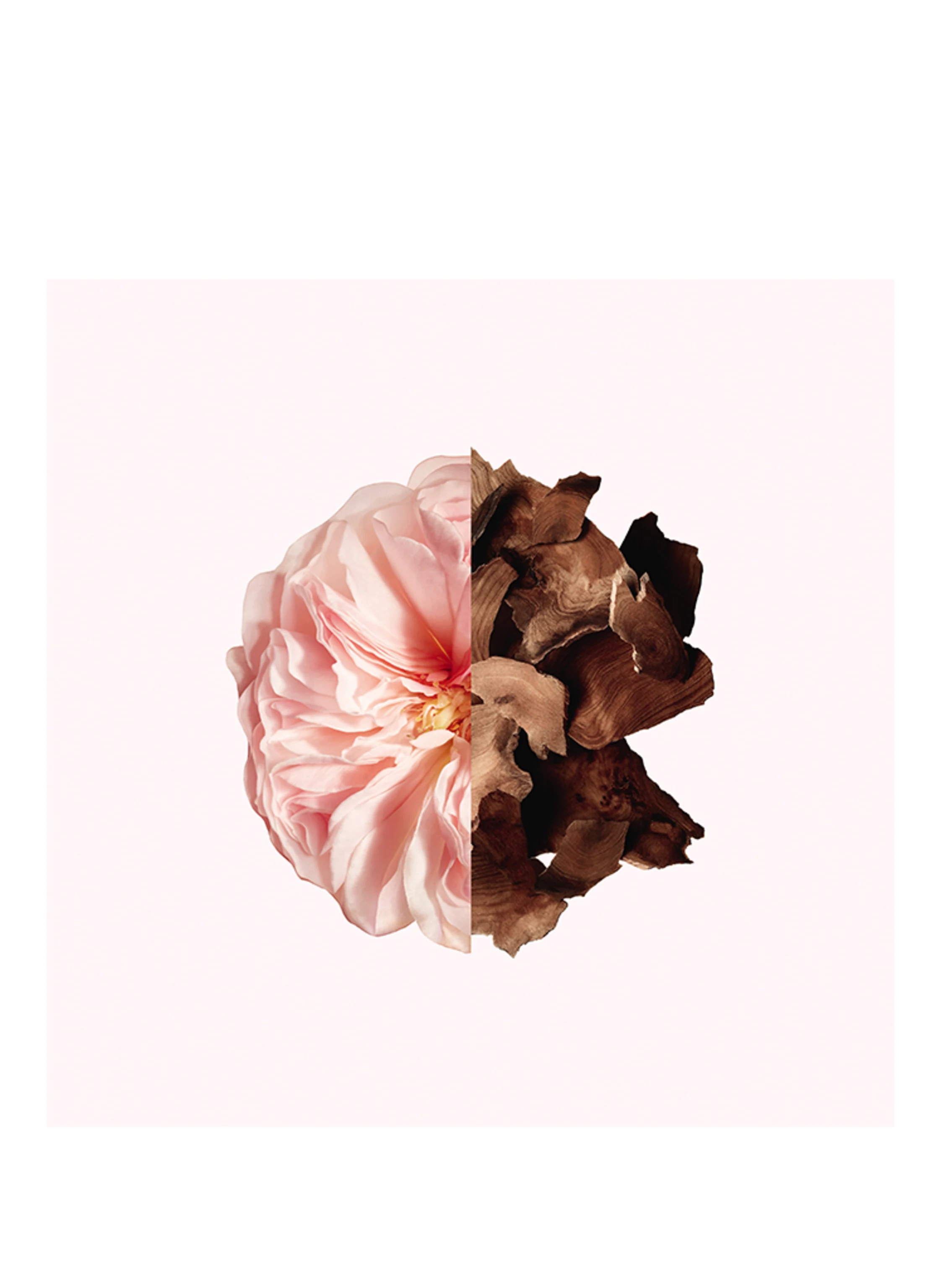 GIVENCHY BEAUTY IRRESISTIBLE