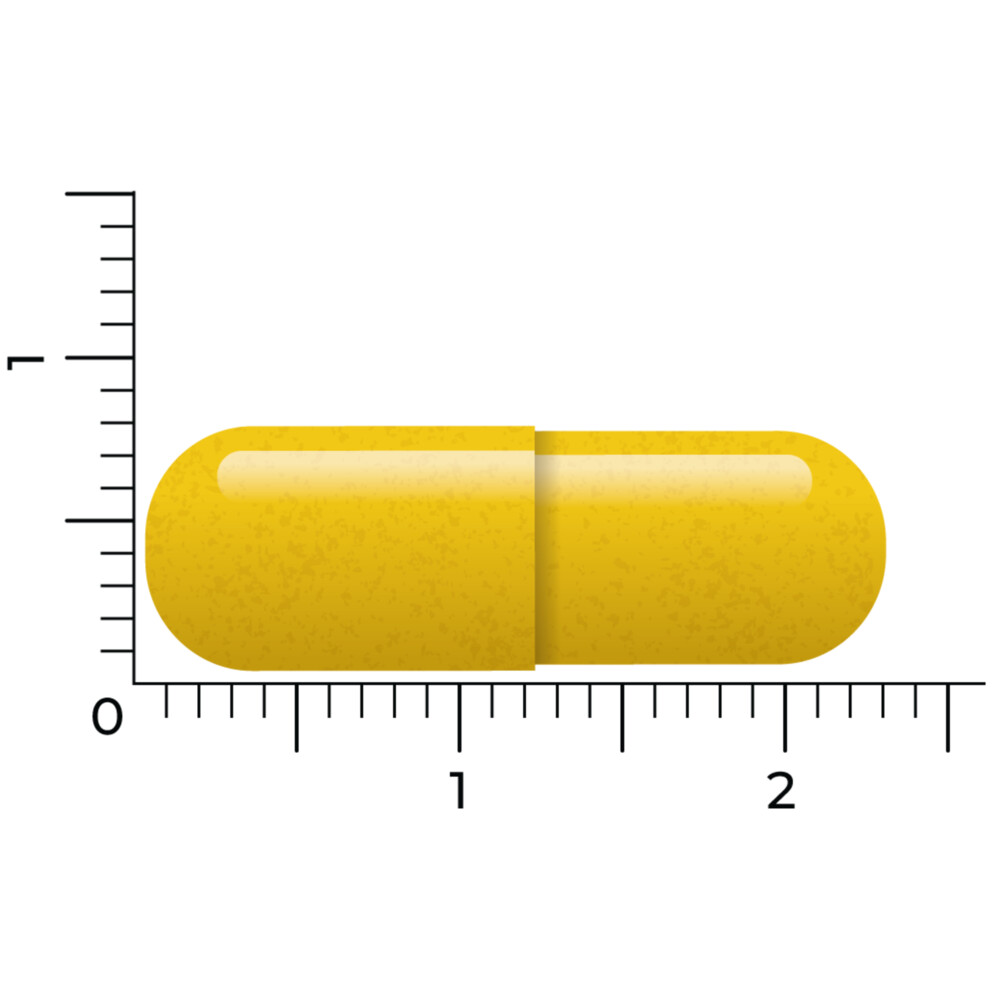 2x Vitakruid Berberine 500 Rebersa60 vegacapsules