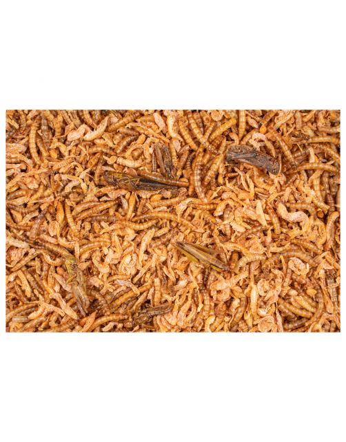 Deli Nature Chix Insectenmix - Kippenvoer - 180 g