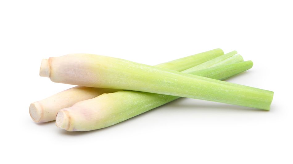 Dag Vers Sereh Per Kilo