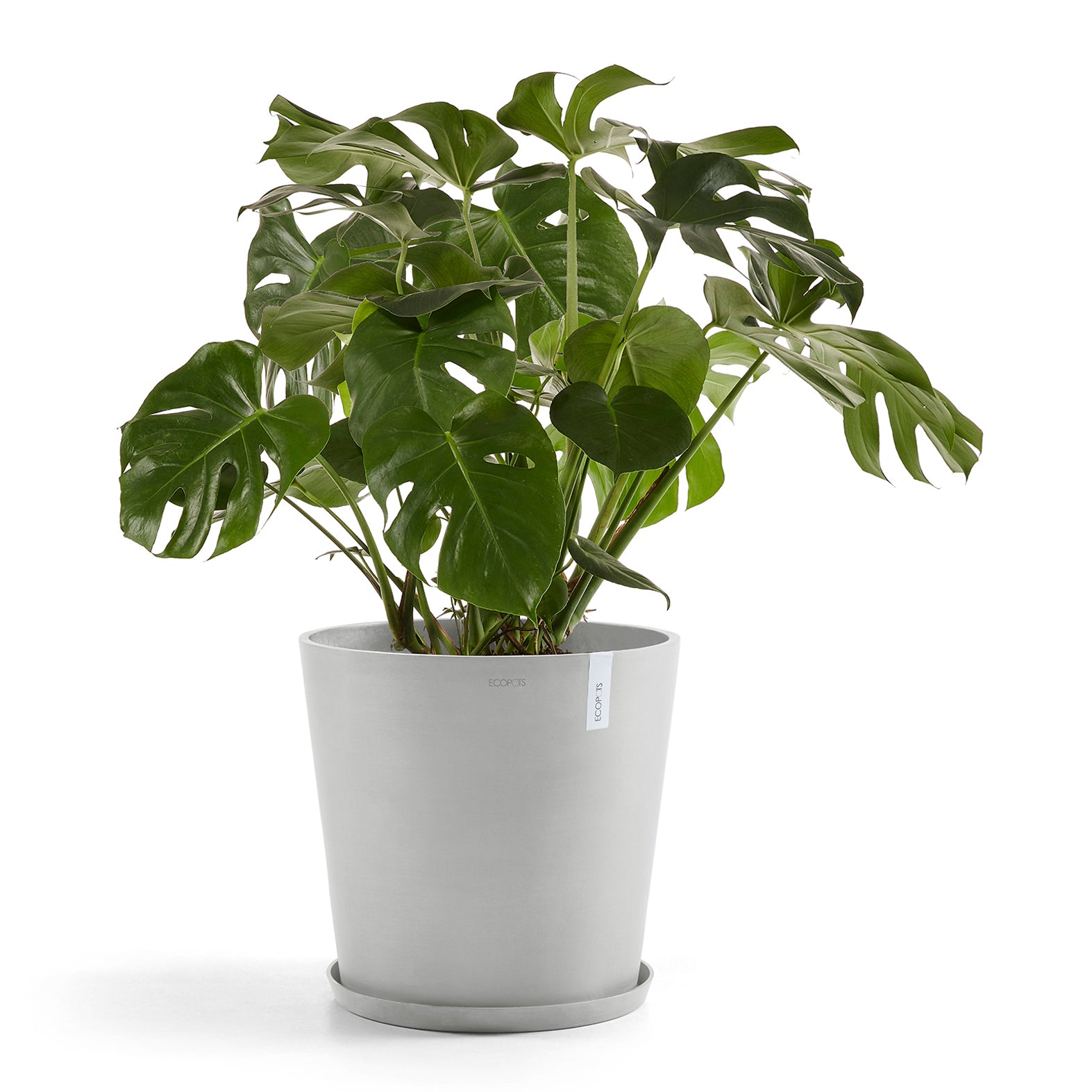 Ecopots Amsterdam 50
