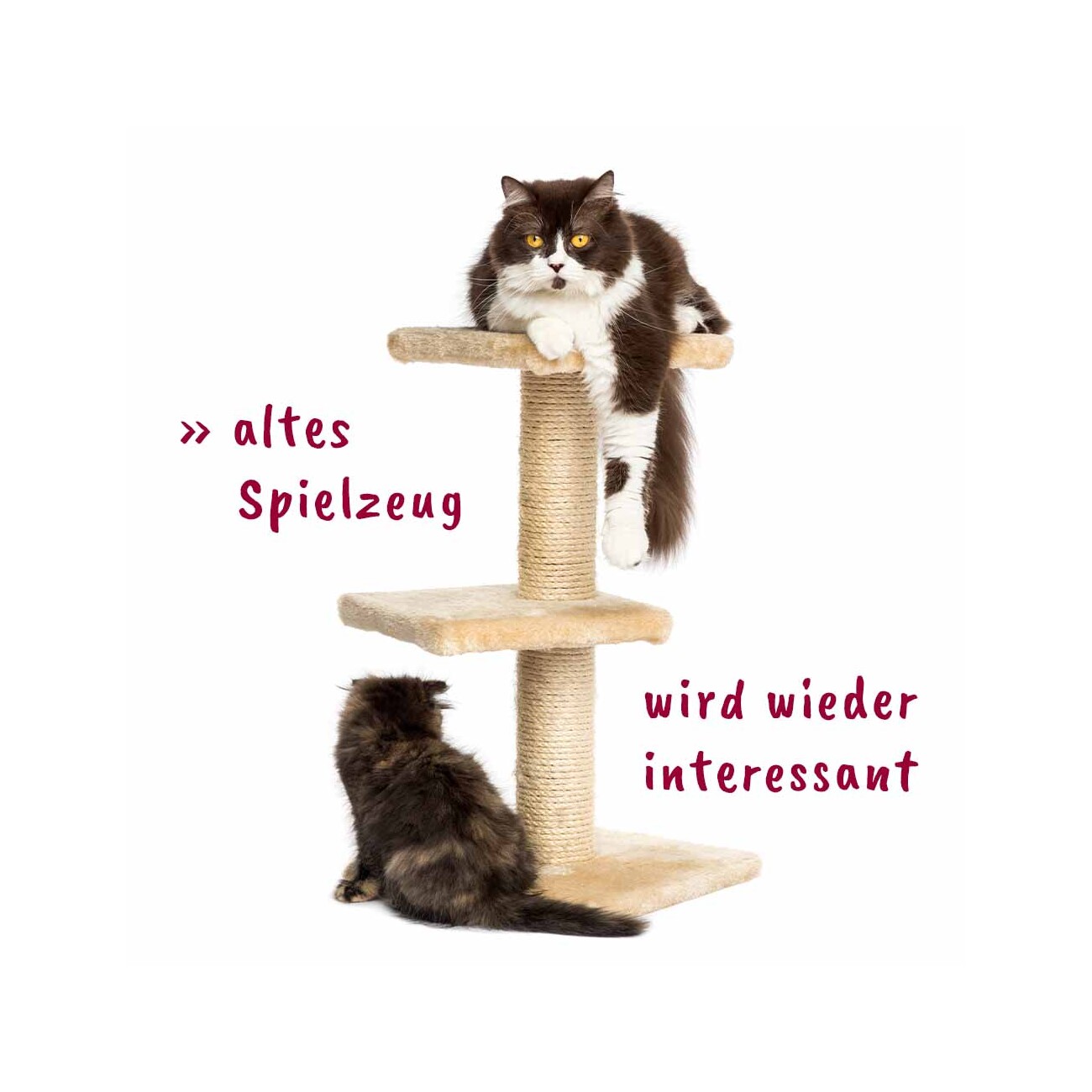 cdVet feliTATZ KatzenMinze Spray 50 ml