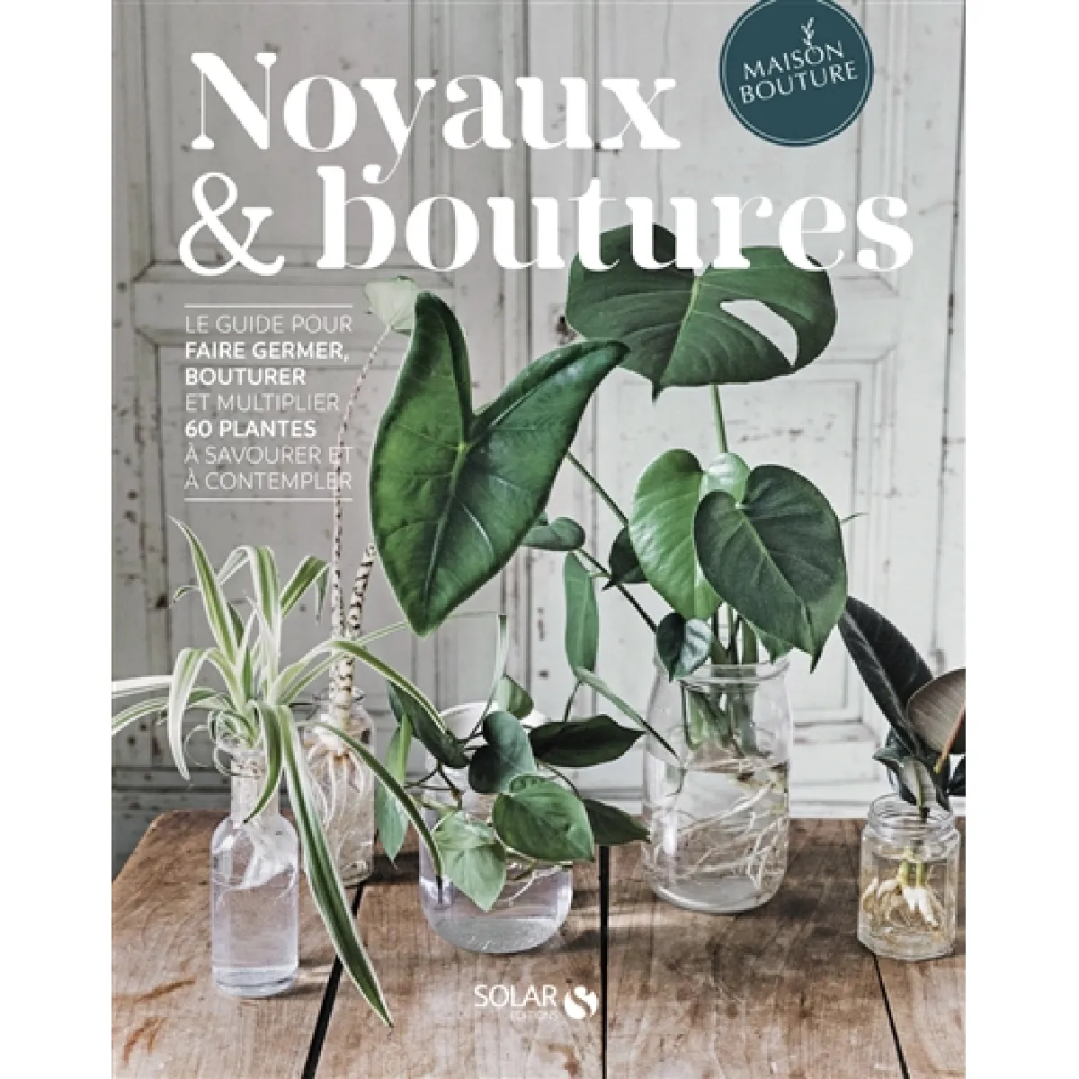 Noyaux & boutures : le guide pour faire germer, bouturer et multiplier 60 plantes à savourer et à contempler · Occasion