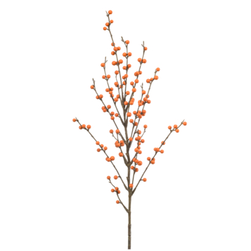 Ilex berry spray oranje 90cm