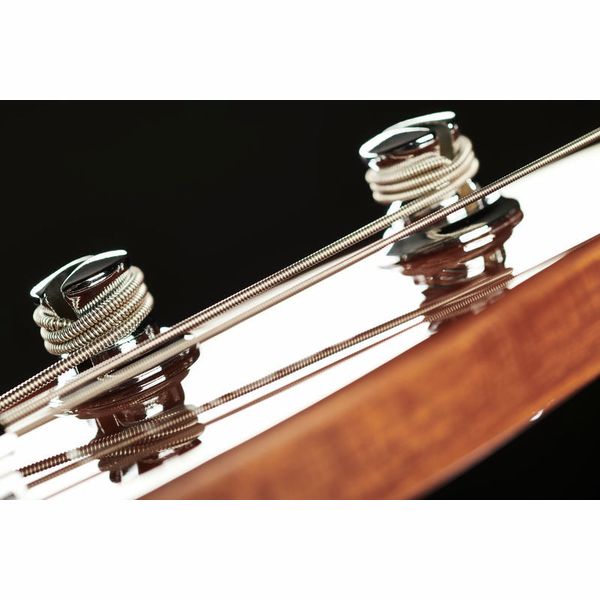 Marcus Miller V5 Alder-4 TS