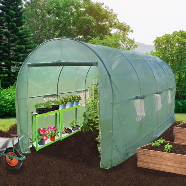 Estufa tipo túnel de polietileno com prateleiras galvanizadas para jardim, tenda de cultivo de 19 mm, 2 x 2,5 m