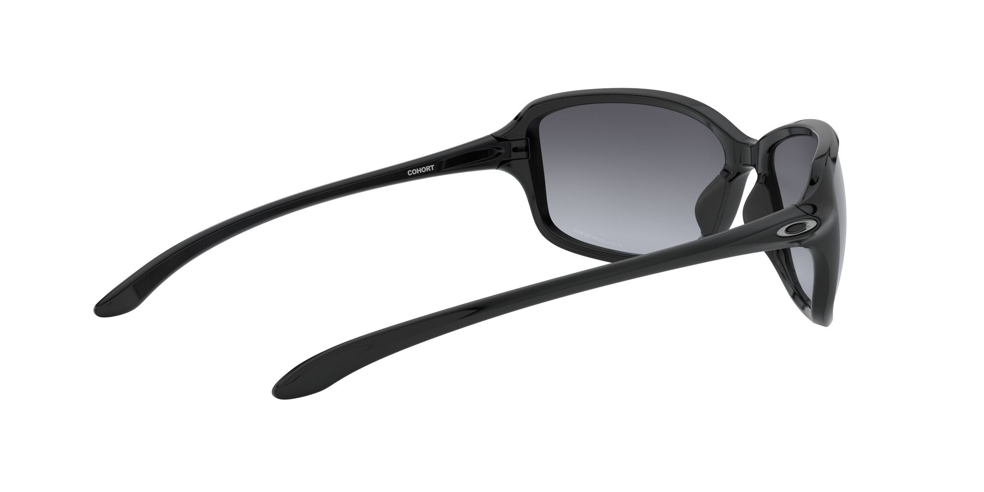 Cohort, Grey Gradient Polarized