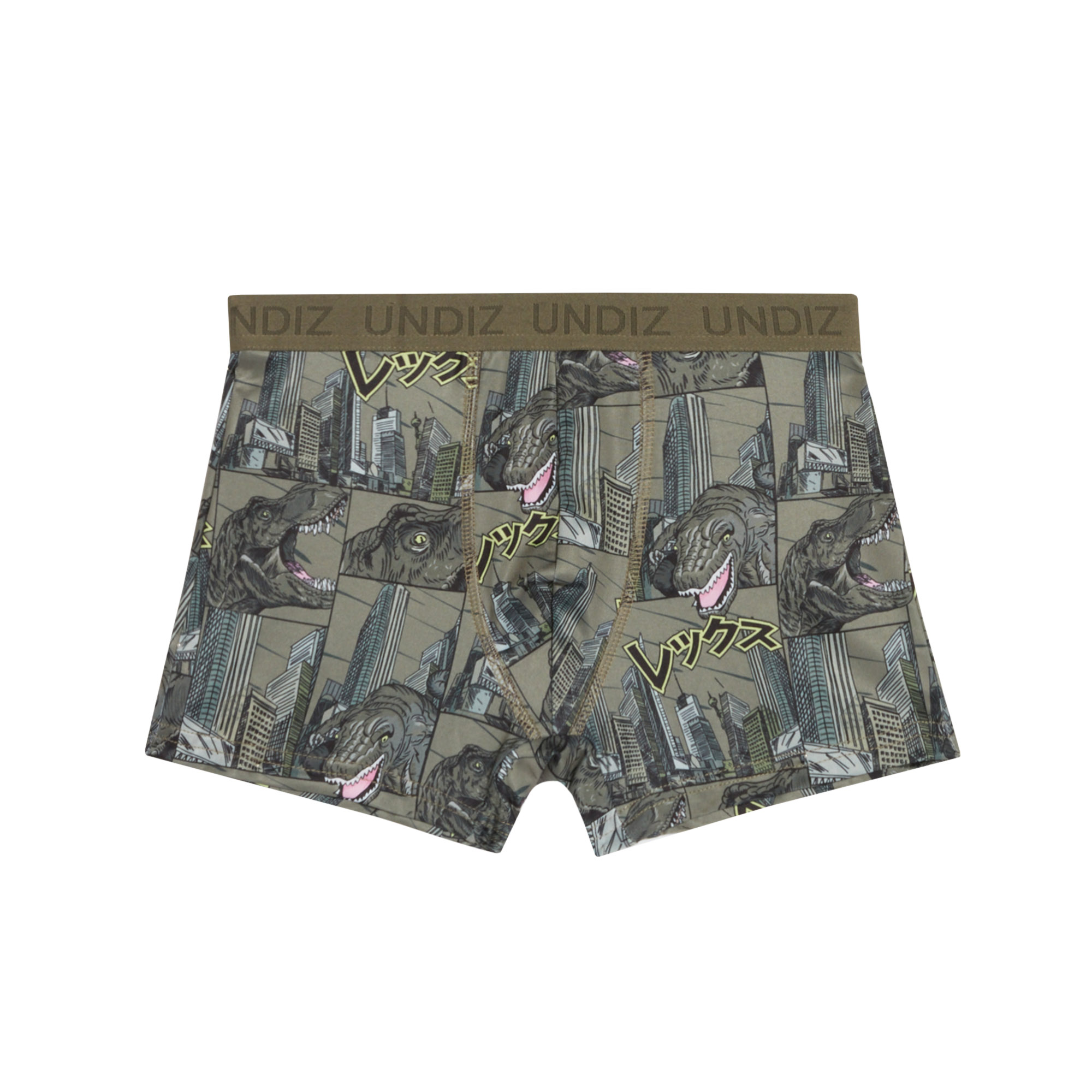 Lot de 3 boxers en microfibre