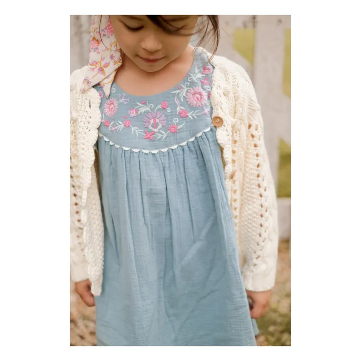 Louise Misha Robe Aria Brodée | Bleu