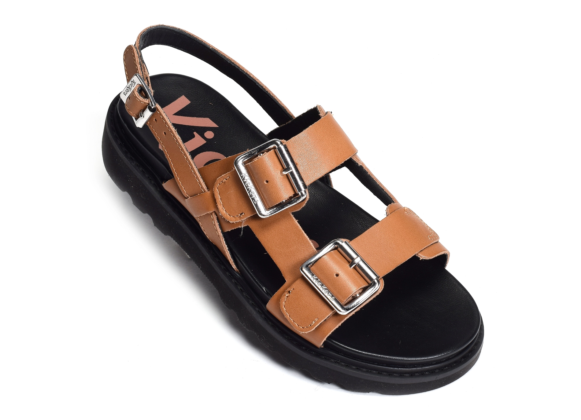 Neosummer camel