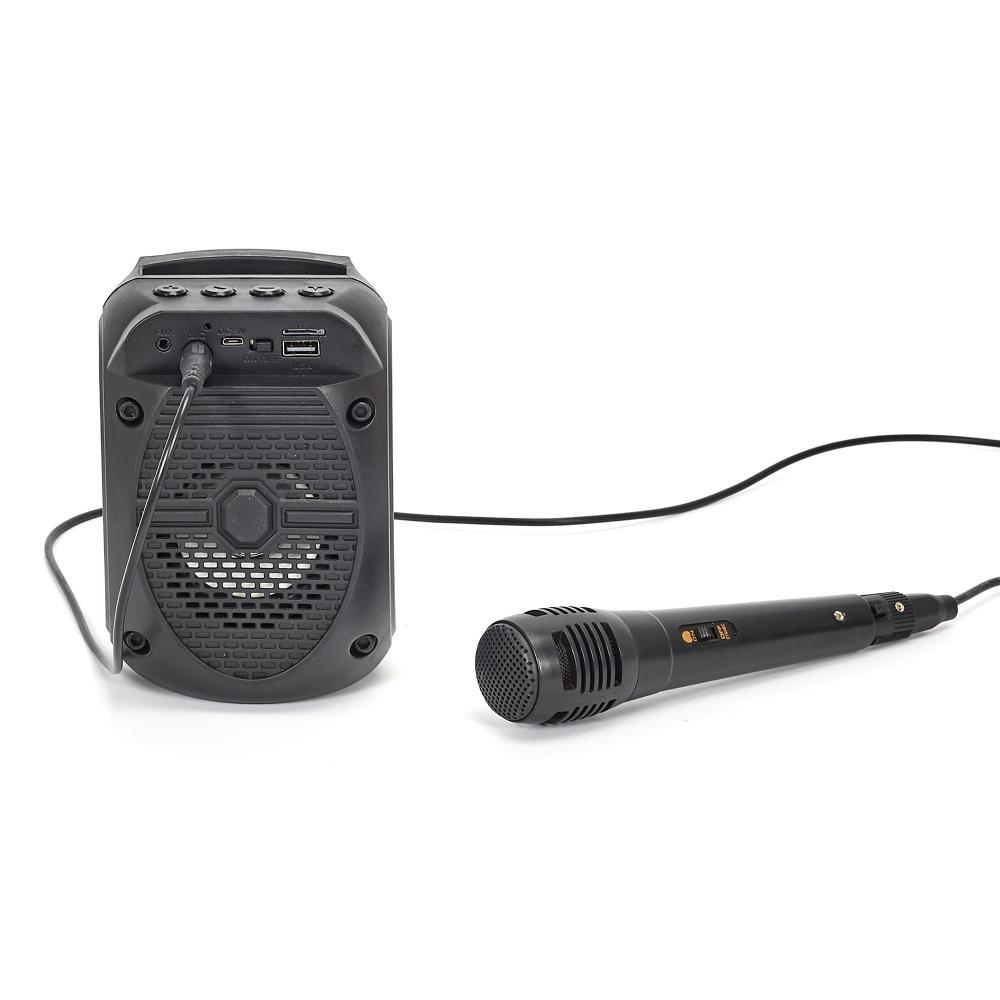 ENCEINTE SANS FIL 5W KARAOKE MICRO INTEGRE