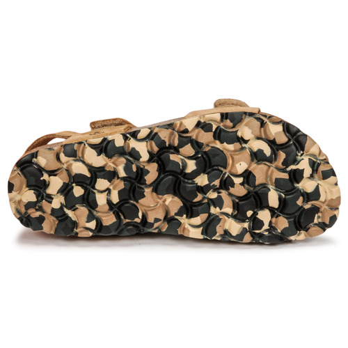 Citrouille et Compagnie - BELLI JOE - Beige