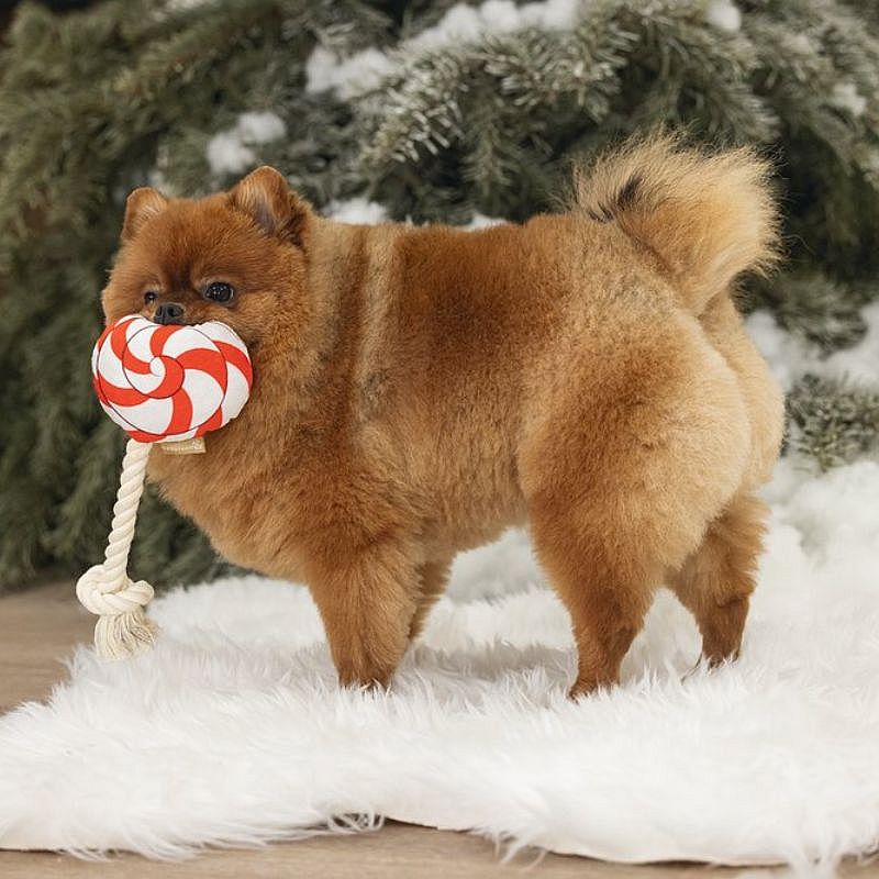 Beeztees Kerst Lolly Pluche Hond | 15161