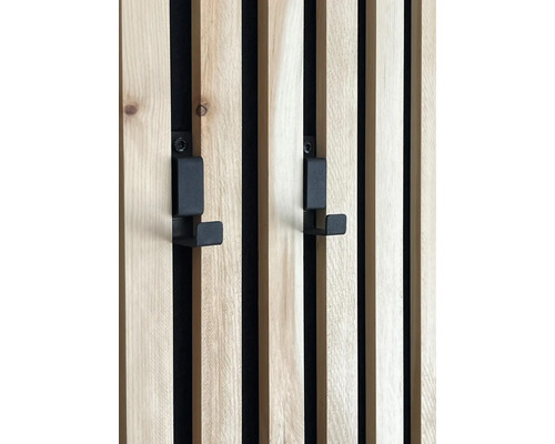 Haken voor akoestische panelen, zwart RAL 9005, 54 x 27 x 14 mm, 2 stuks