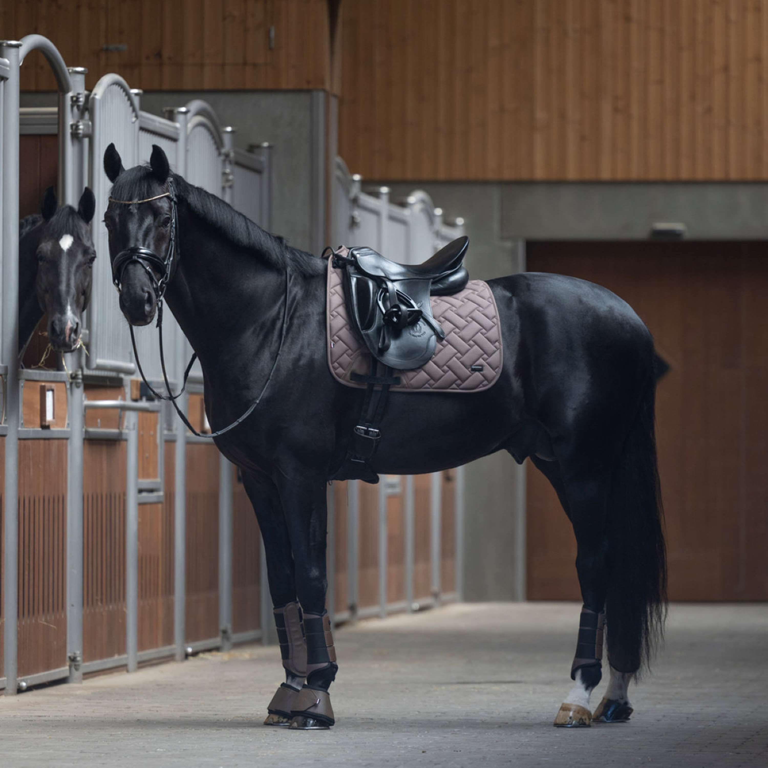 Kingsland Zadeldekje KLLexie Dressuur Brown Iron