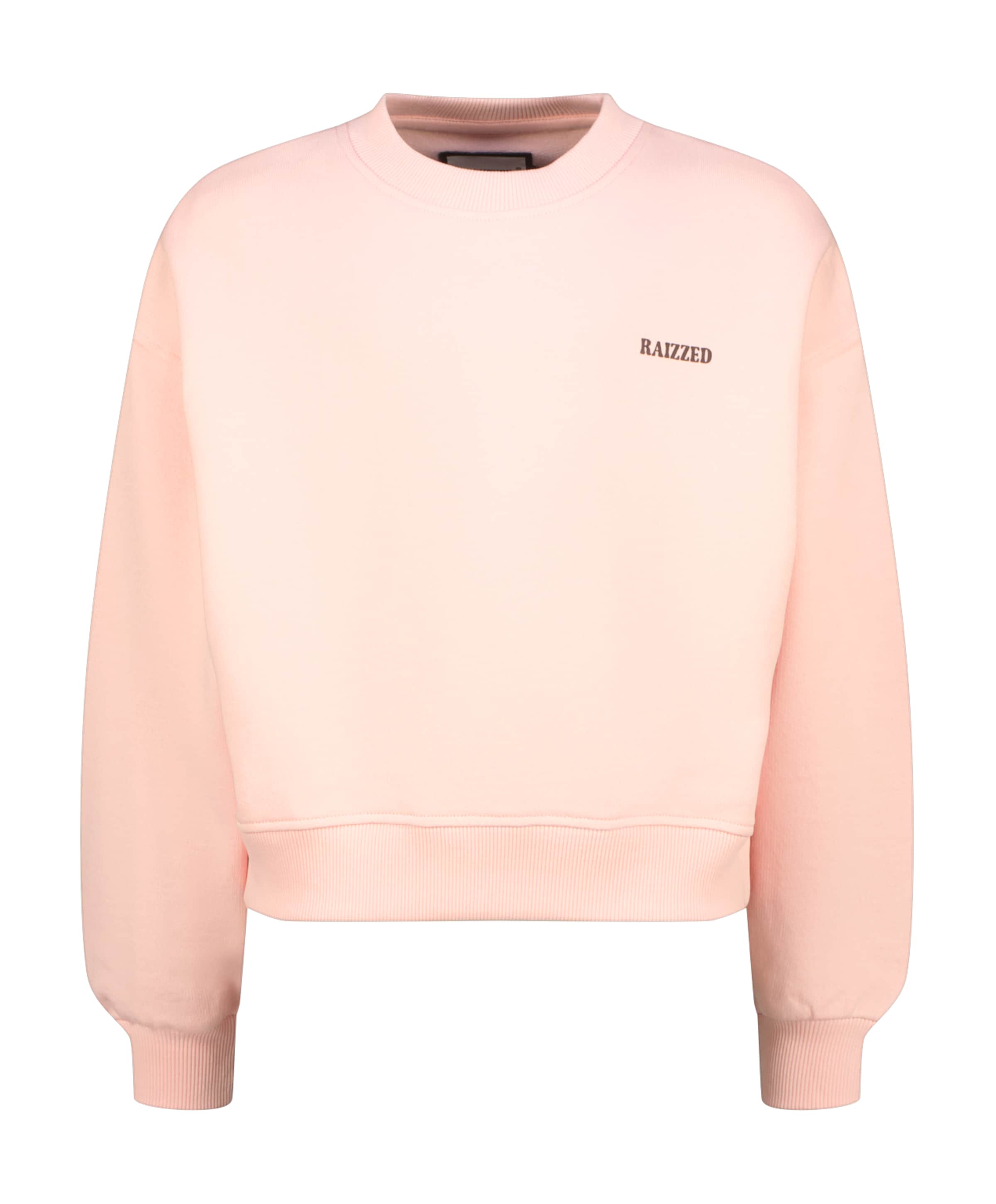 Raizzed Meisjes sweater roze