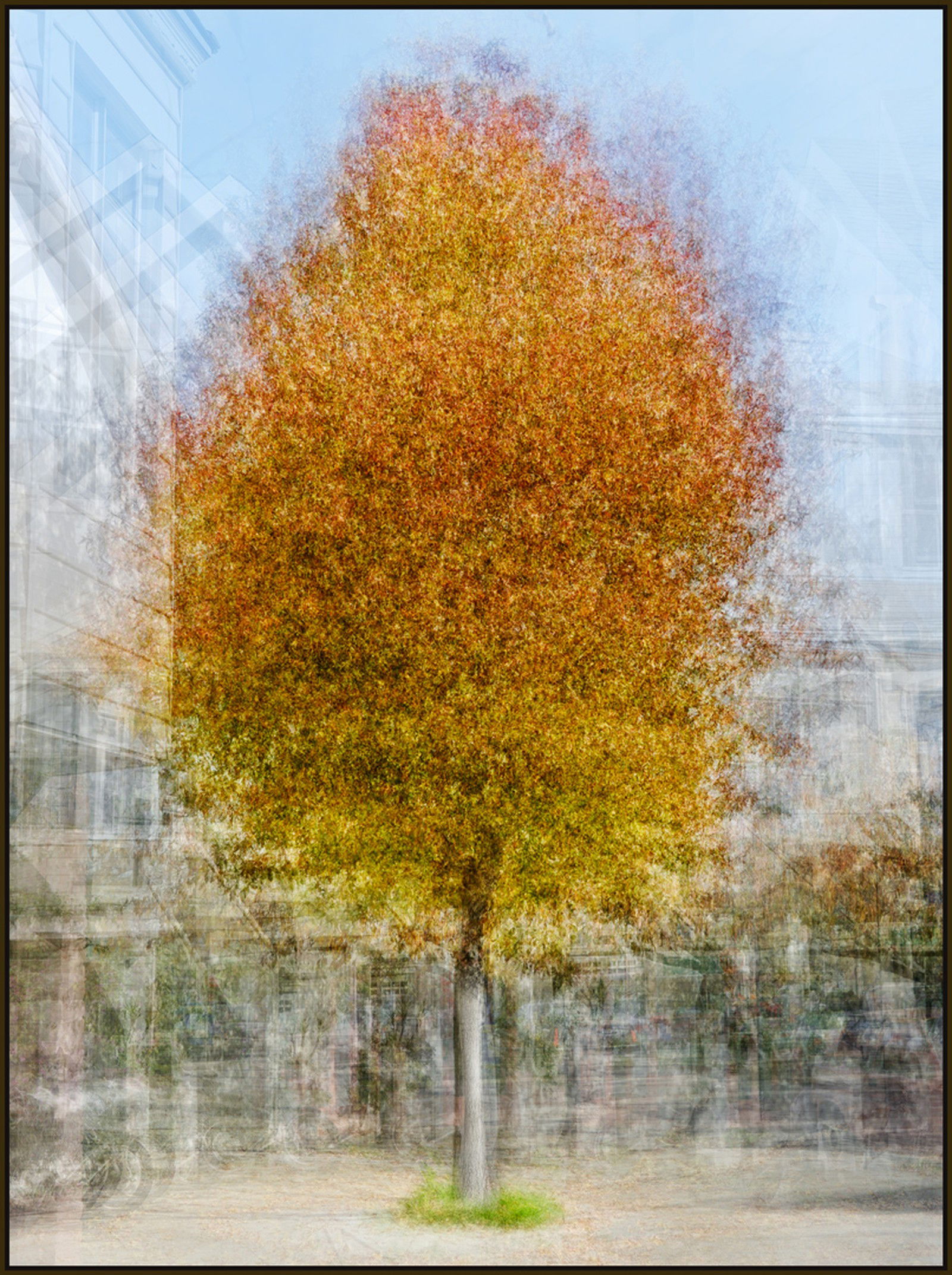Precita Avenue by Pep Ventosa - Petites - Small Open Edition.