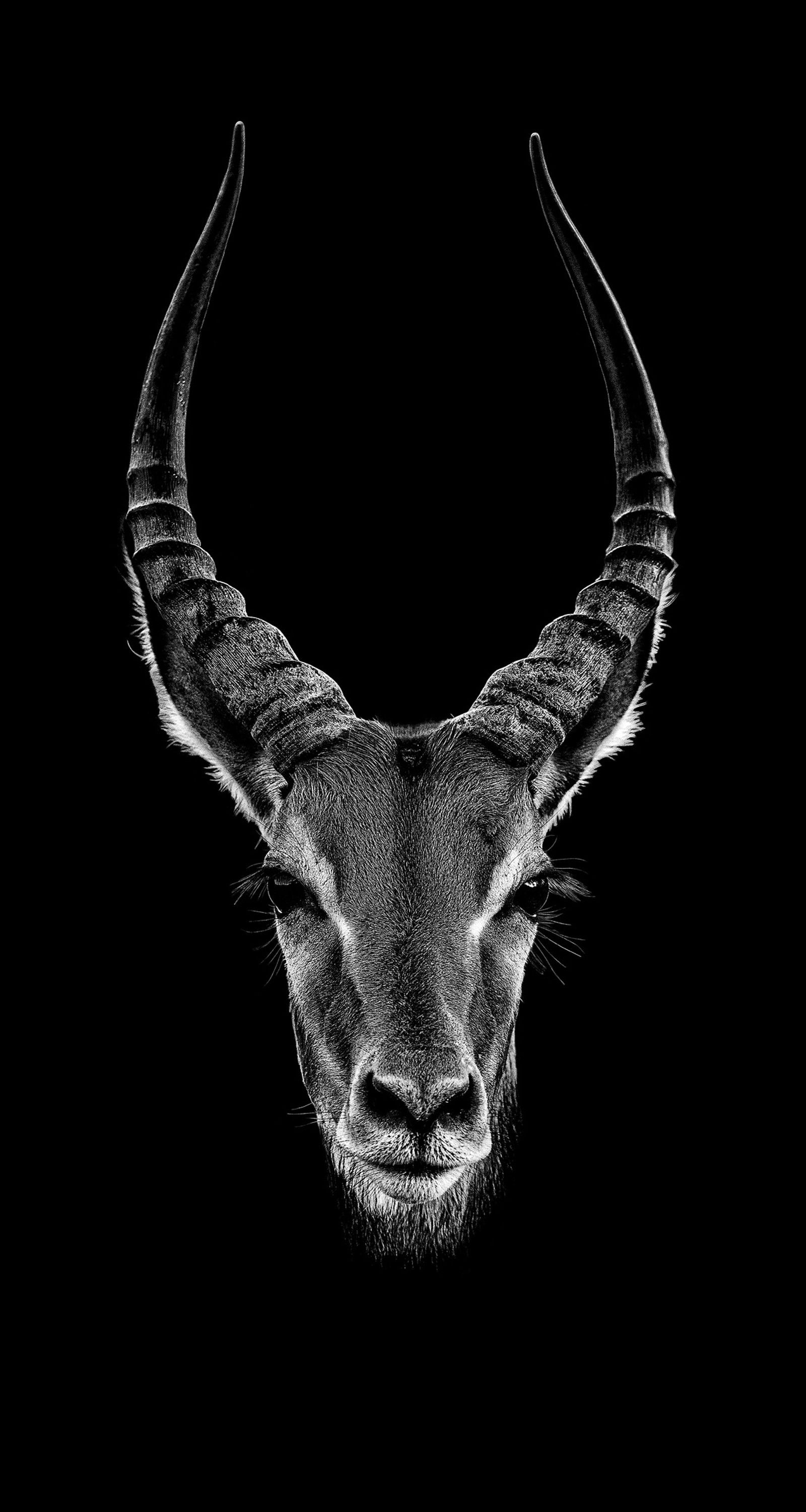 Gioja by Claudio Gotsch - Limited Edition. Edition of: 150. Signed.