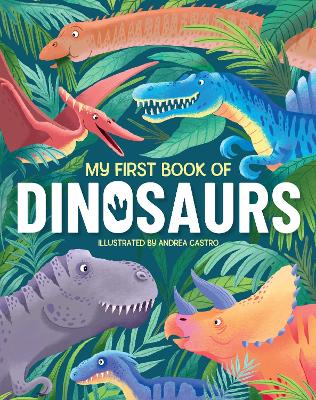 My First Book Of Dinosaurs (Hardback)