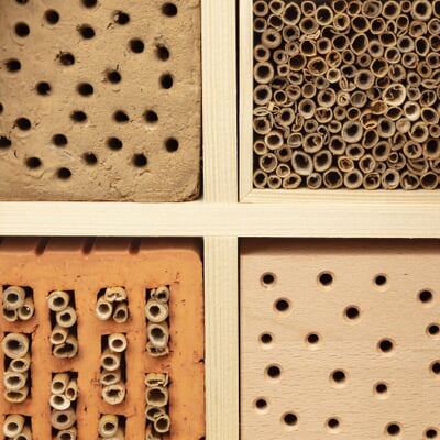 Insektenhaus Fichtenholz