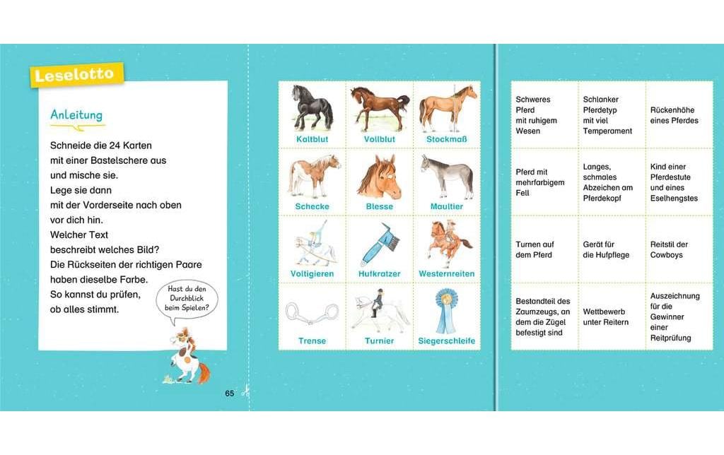 Kinder-Sachbuch WWW Erstleser: Pferde Band 6Lesetraining, Sachwissen und Spielspass!