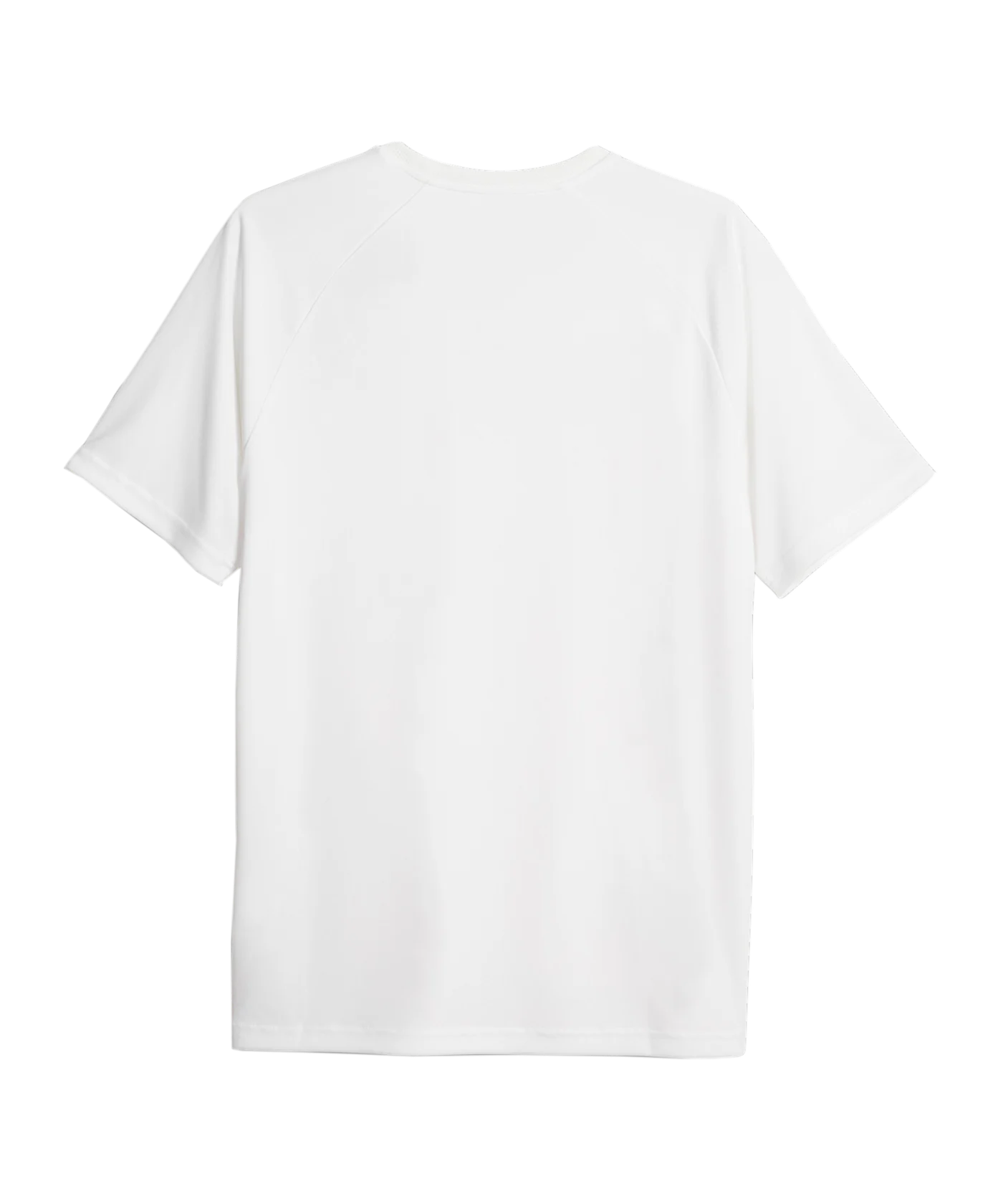PUMA teamLIGA Graphic Trikot Weiss F53