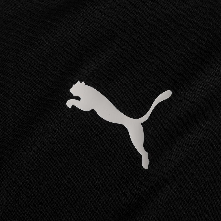 PUMA T-shirt d'Entraînement teamGOAL 23 - Noir/Gris