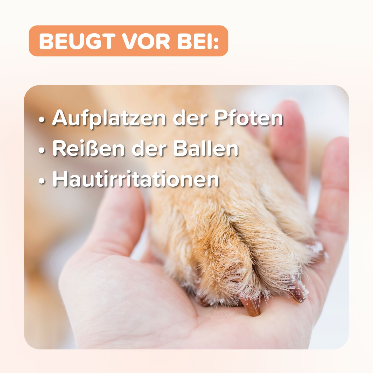 Beaphar Pfoten-Pflege Spray (mit Propolis) 150ml