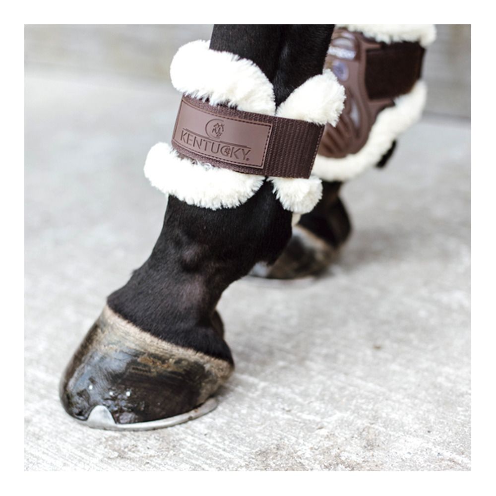 Kentucky JEUNES CHEVAUX MOUTON VEGAN - Protège-Boulets choco