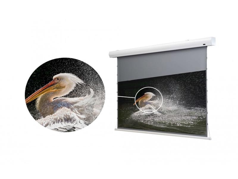 Celexon Tension-Leinwand HomeCinema Dynamic Slate ALR 265x1 HomeCinema Hochkontrastleinwand Tension 265 x 149 cm 120