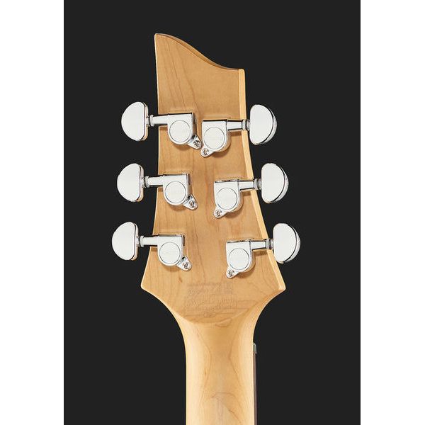 Schecter C-6 Plus EM