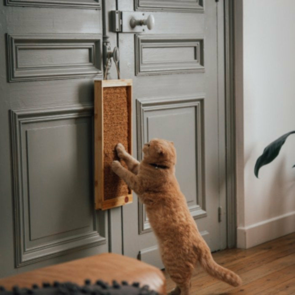 Coffret griffoir up & down pour chats griffoir en carton
