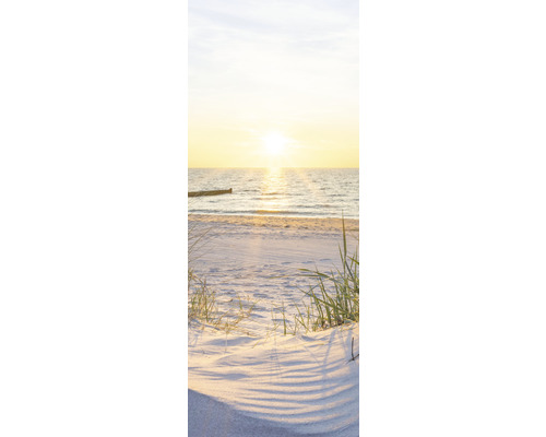 Doucheachterwand SCHULTE DecoDesign foto duinidylle strand 255 x 100 cm D190102523 596