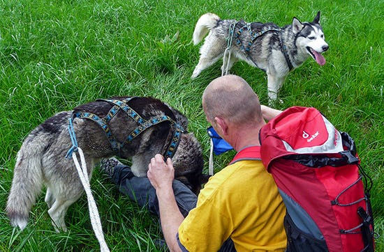 Husky Sommercamp mit Outdoor-Übernachtung für 2